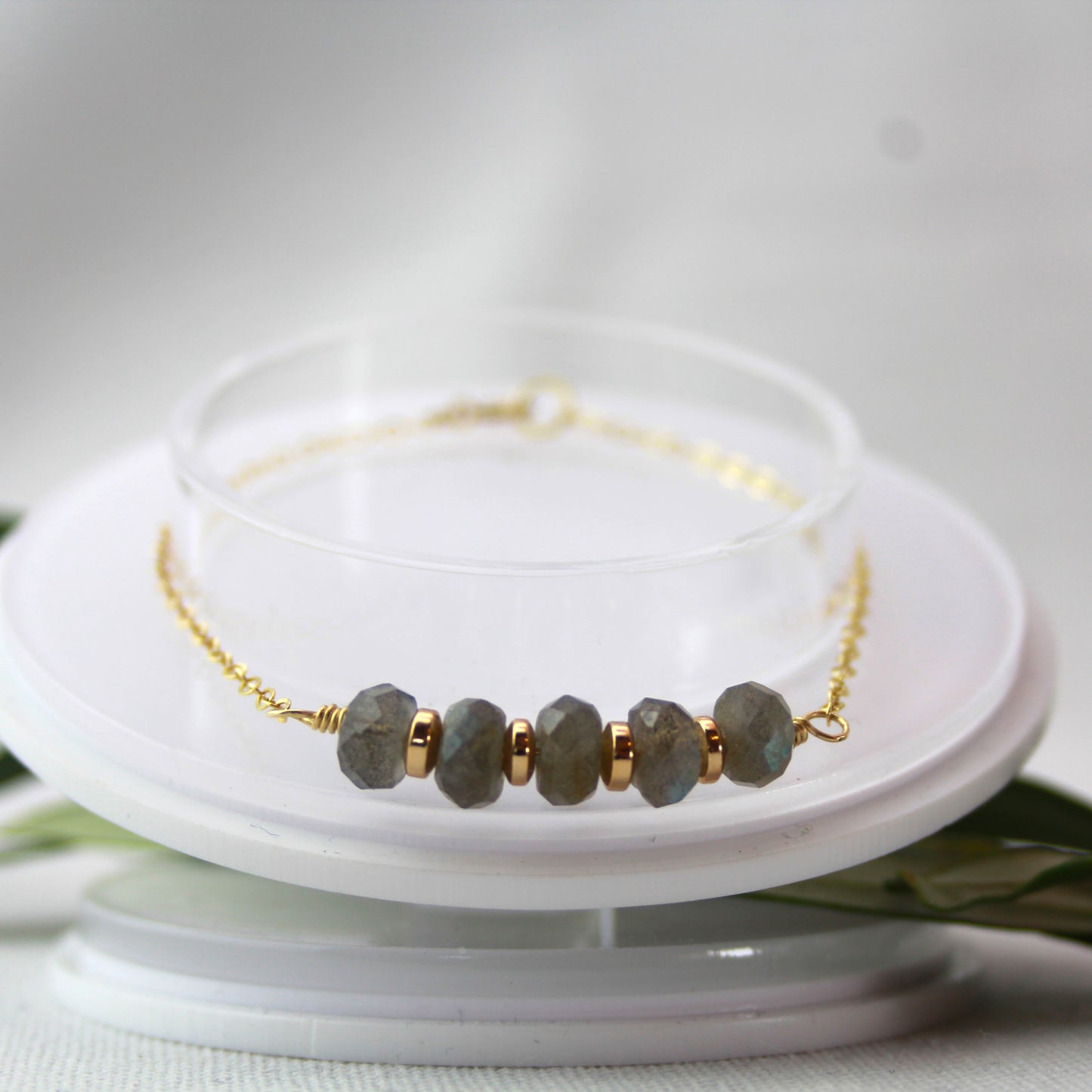 Labradoriet met gouden schakelketting